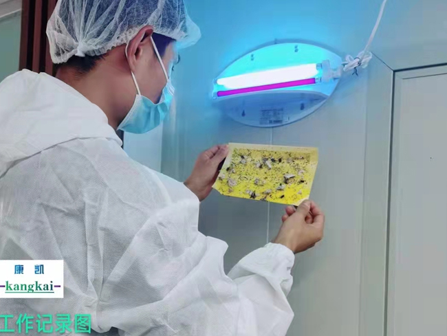 食品廠粘捕式滅蟲(chóng)燈